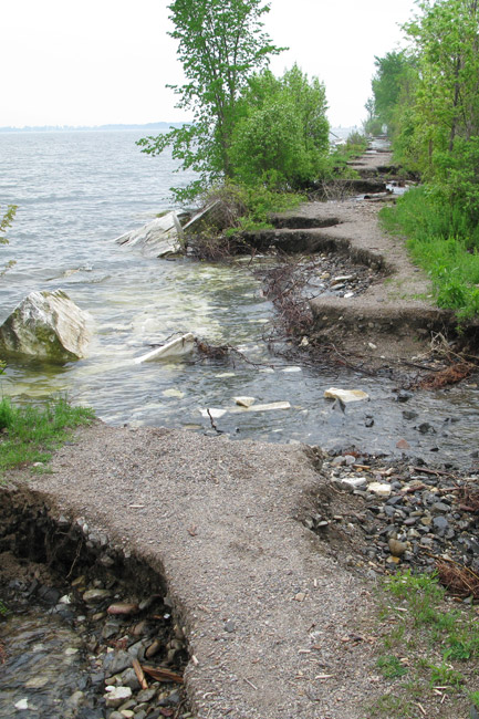 The Big Fix - Damage